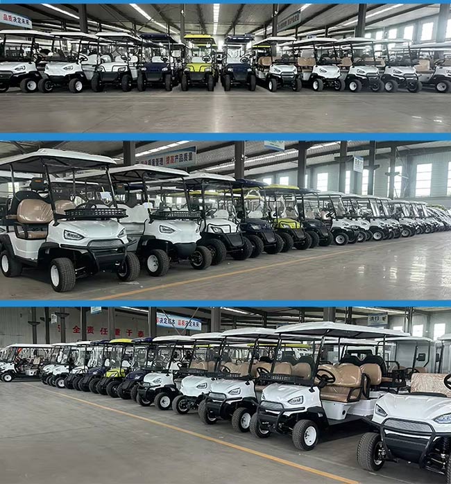 Electric-Golf525-8